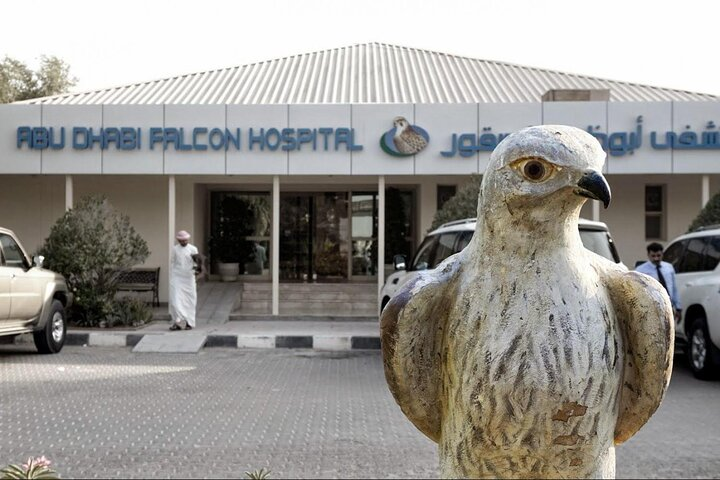 Explore the unique Falcon Hospital in Abu Dhabi where tradition meets conservation offering insights into falcon care alongside a visit to the iconic Sheikh Zayed Mosque.